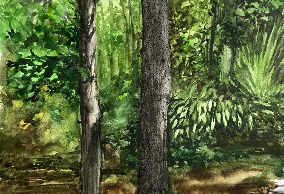 The Wilderness