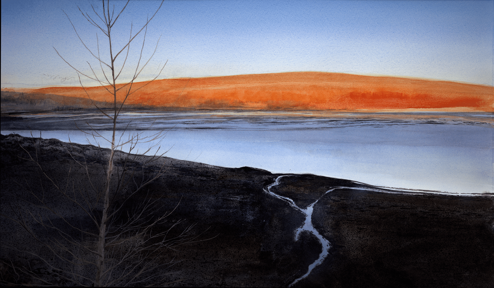 Shirley Chisholm State Park