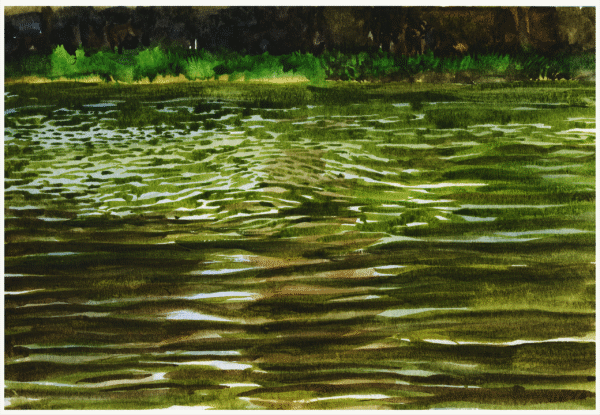 The North Pond