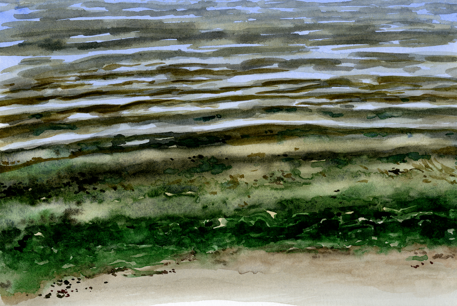 Waves