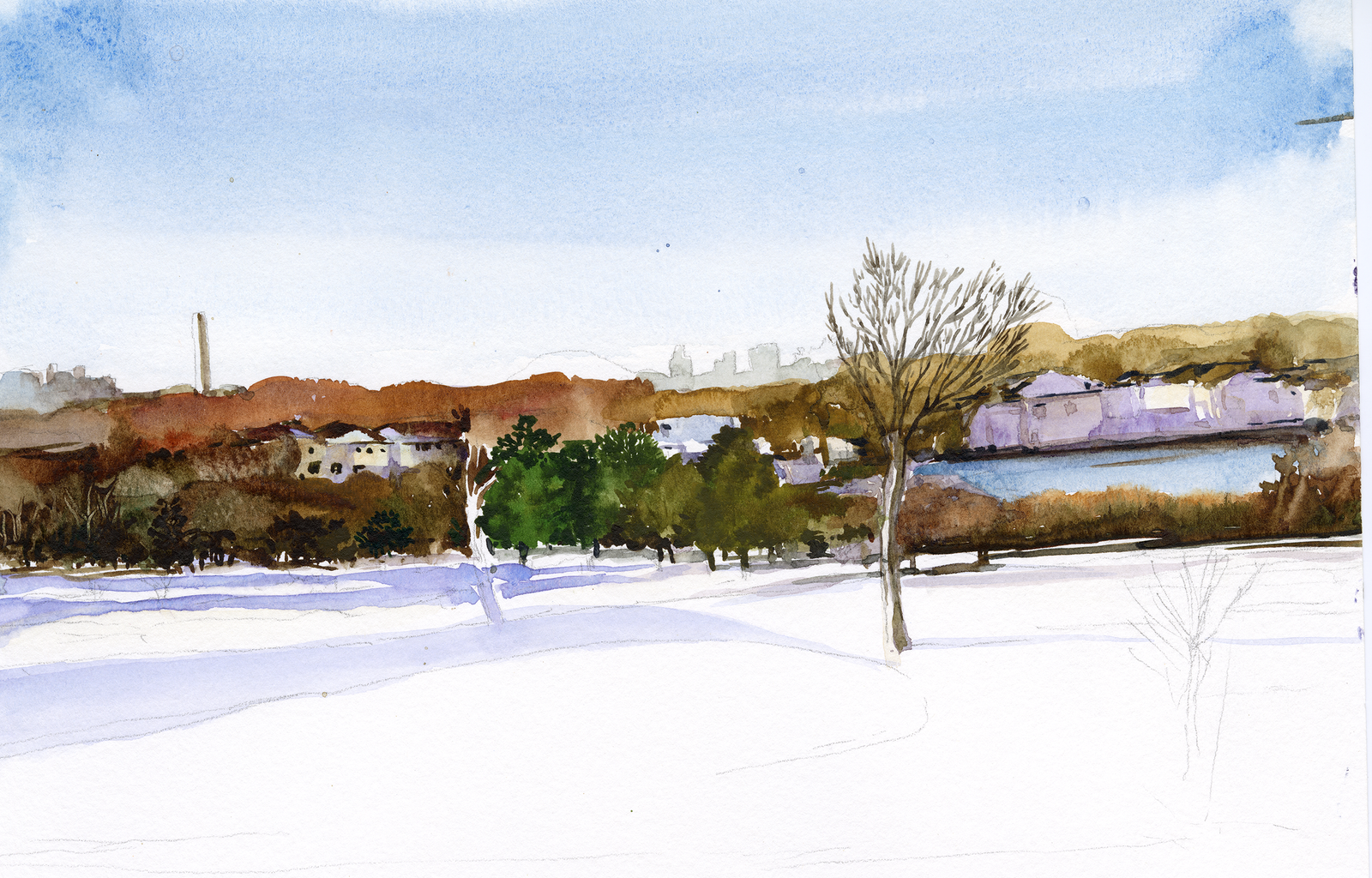 Winter Scene